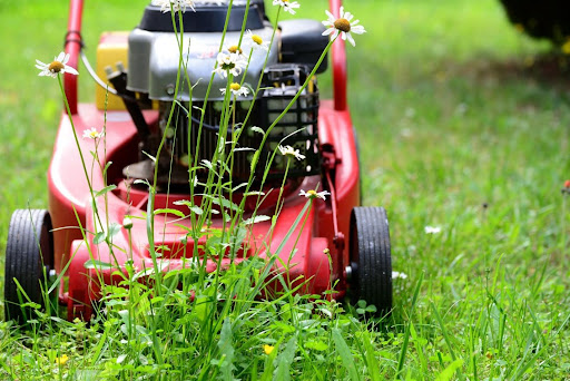 4 Signs That You Need to Hire Lawn Pest Control